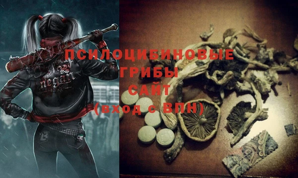 a pvp Белоозёрский