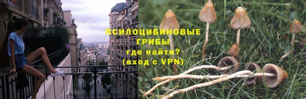 прущие крисы Балабаново