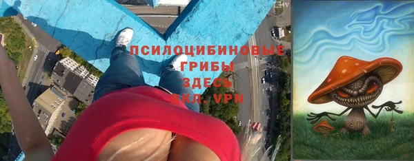 винт Белокуриха